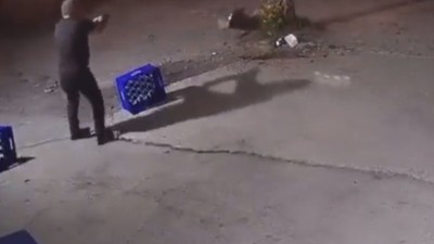 Sakarya'da eli silahlı şahıs ağaca bağlı köpeği vurarak öldürdü