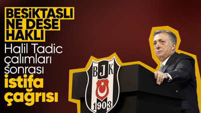 Beşiktaşlılardan Ahmet Nur Çebi'ye istifa çağrısı! Tadic ve Halil çalımları sonrası...