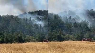 Hatay ve İzmir'in ardından Bolu’da orman yangını!