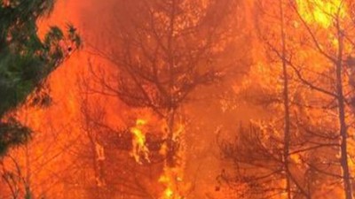 Hatay'da orman yangını! 3 ev yandı