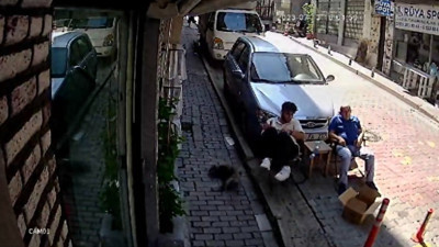 Kağıthane'de şok olay: İkinci kattan üzerine kedi düştü