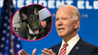 Beyaz Saray'da Biden'ın köpekleri krizi!