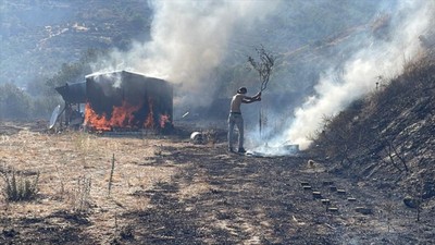 Hatay Antakya'da zeytinlik ve ormanlık alanda yangın çıktı! Müdahale sürüyor