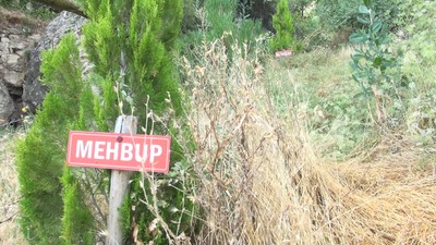 Hayatını kaybeden kadınların isimlerini verip ağaç dikiyor!