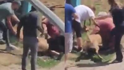 Moda Sahili'nde köpek vahşeti! Yaşı kadını dakikalarca ısırdı
