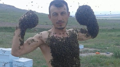 Bir garip hobi! Arıcının yaptıklarının gören şaşıp kalıyor