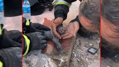 Konya’da itfaiye eri, suni teneffüsle yavru kediyi hayata döndürdü