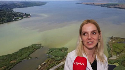 Küçükçekmece Gölü ile ilgili uzmanlardan endişe verici uyarı: Kesinlikle girilmemeli, hastalık kapılabilir