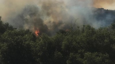 Bolu, Mersin, Afyonkarahisar, İzmir ve Mardin'de orman yangını