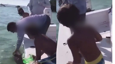Oğluna şov yapmak için yavru köpek balığıyla oynayan adam serçe parmağından oldu! İşte o görüntüler