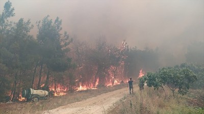 Bursa'nın Mudanya ilçesinde orman yangını çıktı! Müdahale sürüyor