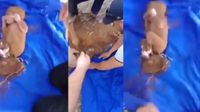 Fas'ta göbek bağı kopmamış bebeğin toprak altından çıkarıldığı anlar boğazları düğümledi
