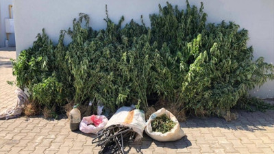 Tekirdağ'ın Şarköy ilçesinde gerçekleştirilen operasyonda 514 kök Hint keneviri ve 900 gram esrar ele geçirildi