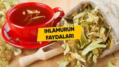 Ihlamurun faydaları nelerdir, ıhlamur çayı neye iyi gelir? Doğru ıhlamur nasıl demlenir?