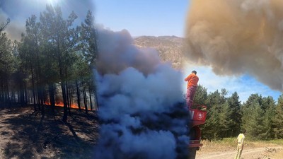İzmir, Bolu ve Adana'da çıkan orman yangınlarına müdahale devam ediyor!