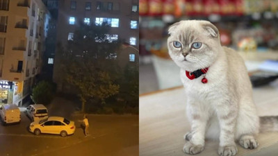 Esenyurt'ta kedi için silahlı çatışma çıktı! Mermi yoldan geçen kuryeye isabet etti