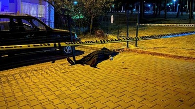 Bursa’da kanlı infaz! Sosyal medyadan dehşet anlarını canlı yayınladı