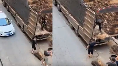 Çin'de canlı köpekler kamyondan indirilirken görüntülendi! Kesecekler iddiası...