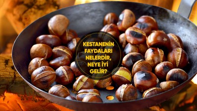 Kestanenin faydaları nelerdir? Kestane neye, hangi hastalıklara iyi gelir?