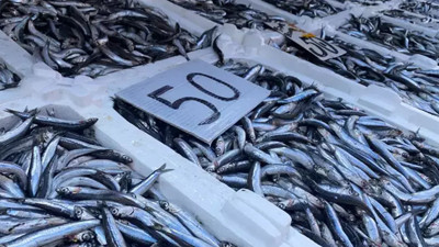 Vatandaş hamsiye doyacak! Fiyatlar düşüşe geçiyor