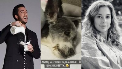 Onlarca kişiyi dolandırıp yurtdışına kaçtılar! Kıvanç Talu ve Beril Talu'nun geride bıraktıkları köpekleri Lina öldü