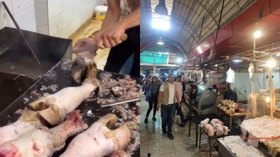 Adana'da mide bulandıran görüntüler! Hijyenik olmayan sakatatçıya mühür vuruldu