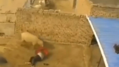 Cesedi ahırda bulunan çobanın ölümüne koç sebep oldu: O anlar kamerada