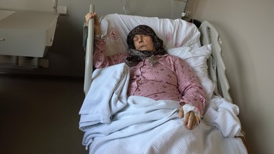 Bilecik'te başıboş köpekler 84 yaşındaki kadını hastanelik etti