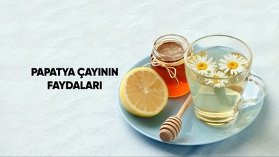 PAPATYA ÇAYININ FAYDALARI: Papatya çayı neye, hangi hastalıklara iyi gelir? Yan etkileri var mı? Faydaları ve zararları nelerdir?