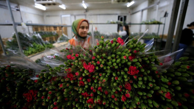 Türkiye'den 73 ülkeye 140 milyon dolarlık çiçek ihracatı