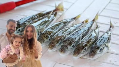 Hatay'da kayınbabanın tuttuğu balık aileyi hastaneye düşürdü! Dünyadaki en zehirli balıkla ilgili konuşan damat: Hayatımda böyle lezzetli balık yemedim