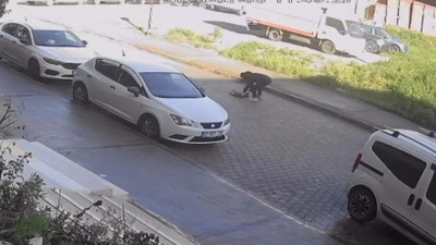 Antalya'da bir aracın çarptığı kedi, sahibinin kucağında öldü