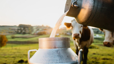 Son Dakika: Ulusal Süt Konseyi'nden çiğ süt fiyatına yüzde 17,4 zam! üreticinin eline litre başına 13,5 lira geçecek