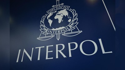 Interpol dijital çağdaki internet suçları konusunda uyarı