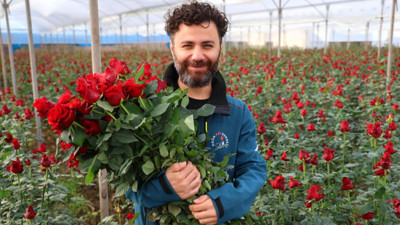 Tane fiyatı birçok meyveyi sollayan gül, Adana'da üreticisinin yüzünü güldürdü