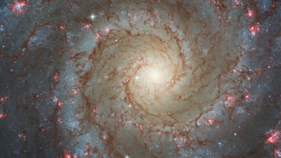 NASA 19 spiral galaksinin fotoğrafını yayınladı