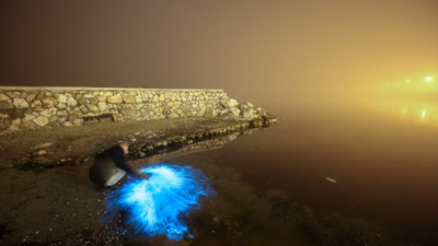 Marmara Denizi'nde planktonların çoğalması sonucu suyun rengi değişti