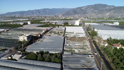 Antalya'da hortumun bilançosu ağır oldu: 6 yaralı, 1000 dönüm sera zarar gördü
