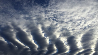 Geçen ay şimdiye kadar yaşanan "en sıcak şubat" olarak kayıtlara geçti