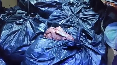 İstanbul'a gelen tırda 700 kilo eşek ve at eti çıktı! Şüpheliden itiraf: Sucuk yapacaktım