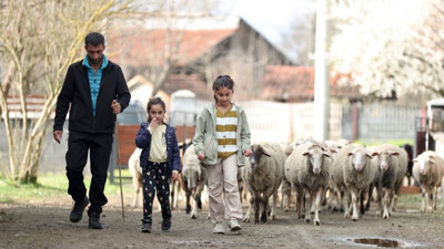 Sekiz yıl önce iki koyunla besiciliğe başladılar 25'e katladılar