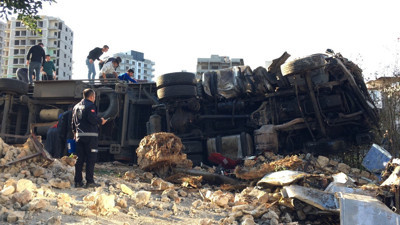Mersin'de canlı hayvan taşıyan tır devrildi