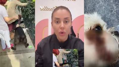 Banu Parlak'ın köpeği Drago'nın öldürdüğü Leo isimli köpek toprağa verildi