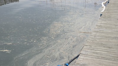Sapanca'da milyonların içme suyuna akaryakıt sızdı