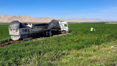 Mardin'de tırın devrilmesi sonucu büyükbaş hayvanlar karayolunda gezdi