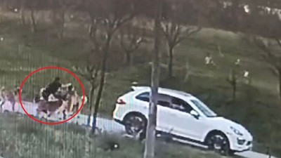 Bursa'da oğlu için köpeklere kendini feda eden babaya 30 dikiş atıldı