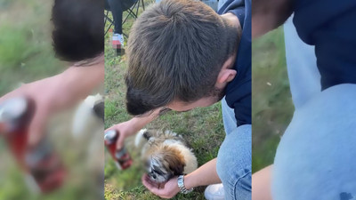 Köpeğe alkol içirerek o anları sosyal medya hesabından paylaştı