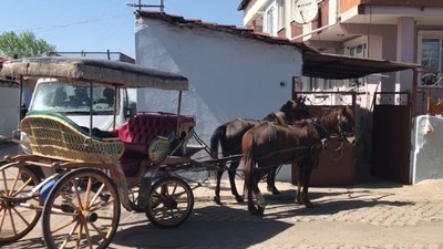 Edirne’de faytoncuların silahlı kavgası kanlı bitti
