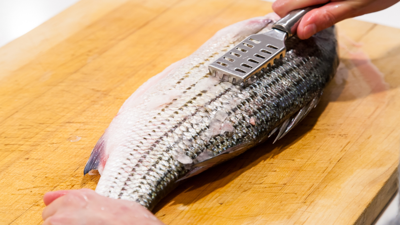 Rüyada Balık Temizlemek Ne Anlama Gelir? Neye Delalet Eder?