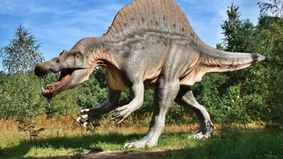 Rüyada Dinozor Görmek Ne Anlama Gelir? Neye Delalet Eder?